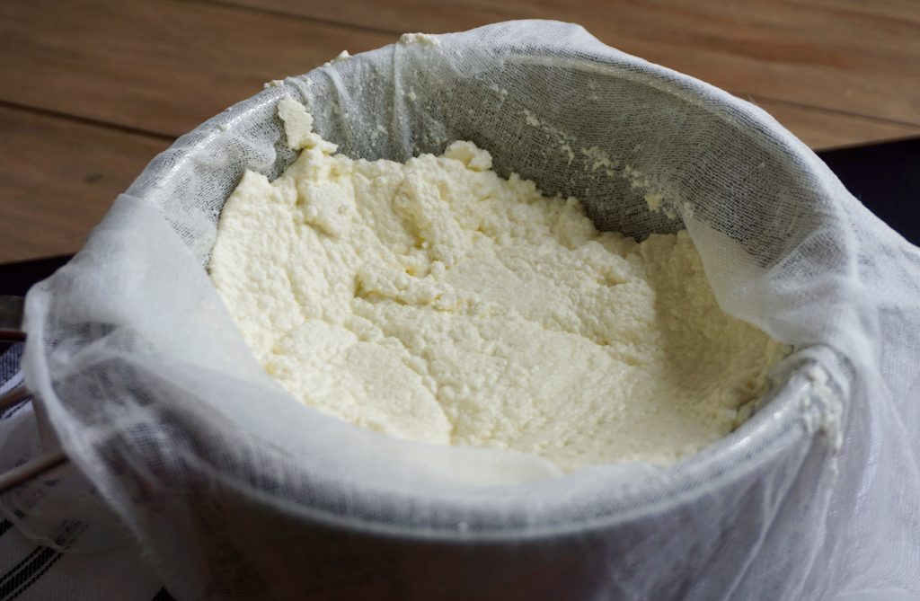Ricotta Cheese