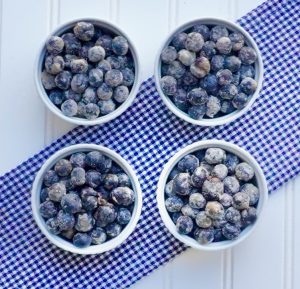 Blueberry Pot Pie